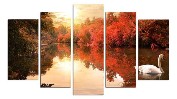 ASIR Obraz na MDF 5ks LABUŤ 20 x 60 cm (1) 20 x 50 cm (2) 20 x 40 cm (2)