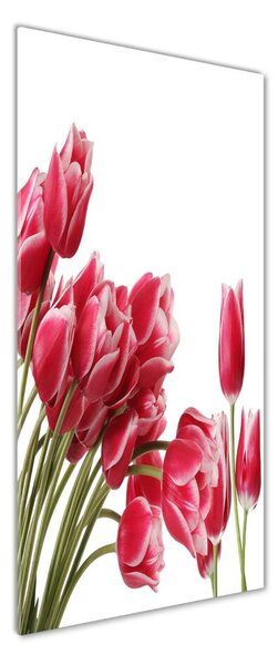 Vertikální Fotoobraz na skle Červené tulipány osv-109710799