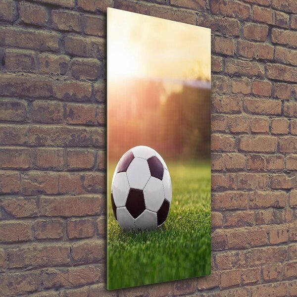 Vertikální Foto obraz sklo tvrzené Fotbal osv-110116373