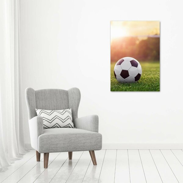 Vertikální Foto obraz sklo tvrzené Fotbal osv-110116373