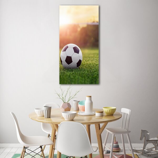 Vertikální Foto obraz sklo tvrzené Fotbal osv-110116373