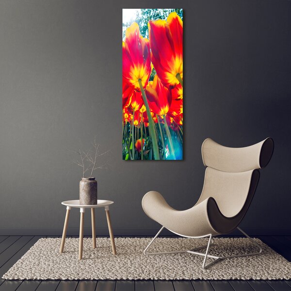 Vertikální Foto obraz na plátně Červené tulipány ocv-113693972