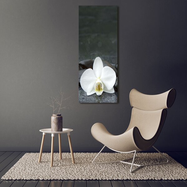 Vertikální Foto obraz na plátně Orchidej kameny ocv-113617594