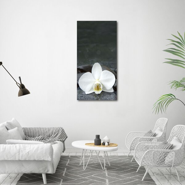 Vertikální Foto obraz na plátně Orchidej kameny ocv-113617594