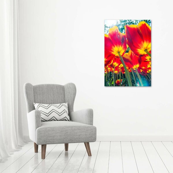 Vertikální Foto obraz na plátně Červené tulipány ocv-113693972