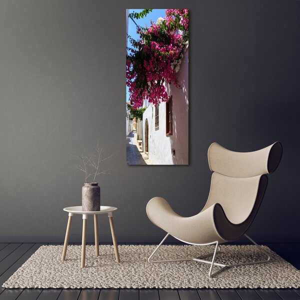 Vertikální Foto obraz canvas Rhodos Řecko ocv-114529203