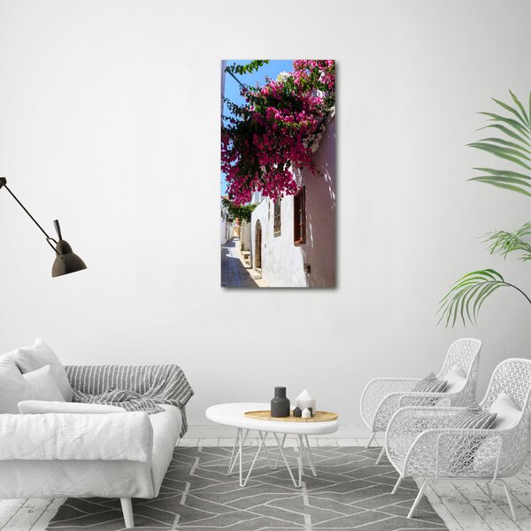 Vertikální Foto obraz canvas Rhodos Řecko ocv-114529203