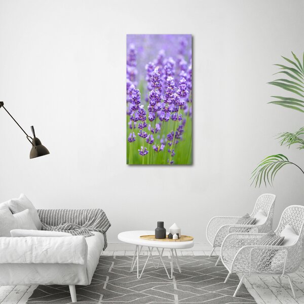 Vertikální Foto obraz canvas Pole levandule ocv-115973542