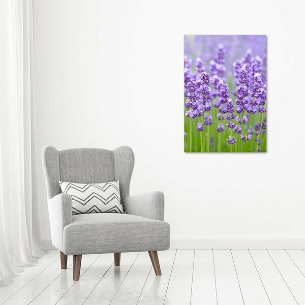 Vertikální Foto obraz canvas Pole levandule ocv-115973542