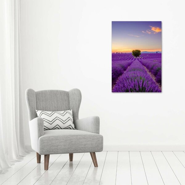 Vertikální Foto obraz canvas Pole levandule ocv-116891054
