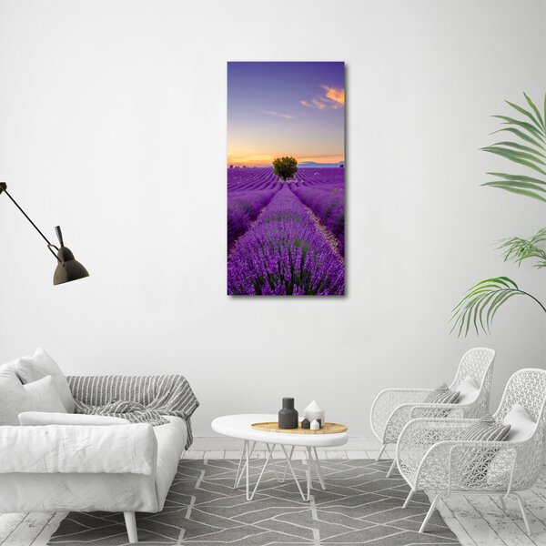 Vertikální Foto obraz canvas Pole levandule ocv-116891054