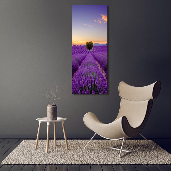 Vertikální Foto obraz canvas Pole levandule ocv-116891054