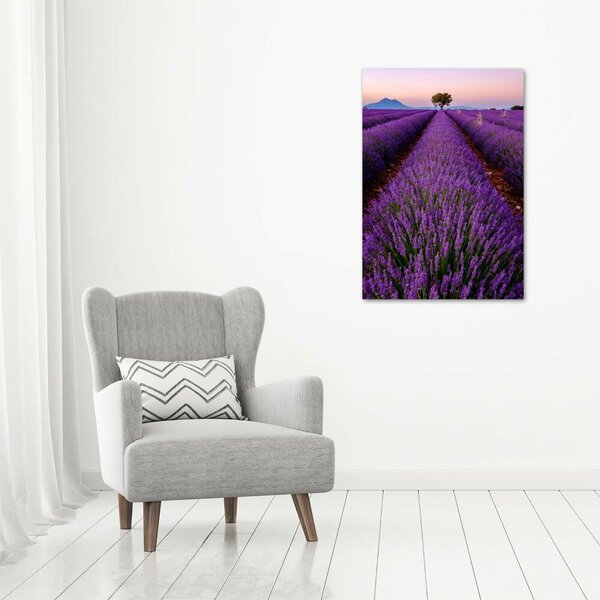 Vertikální Foto obraz canvas Pole levandule ocv-117192930