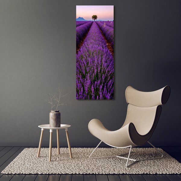 Vertikální Foto obraz canvas Pole levandule ocv-117192930