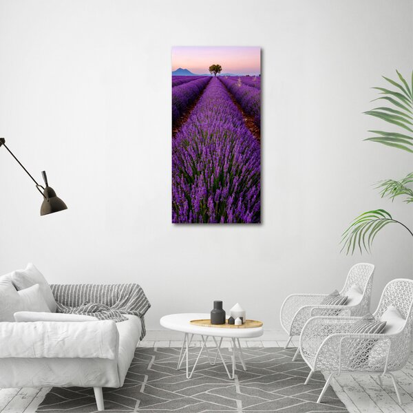 Vertikální Foto obraz canvas Pole levandule ocv-117192930
