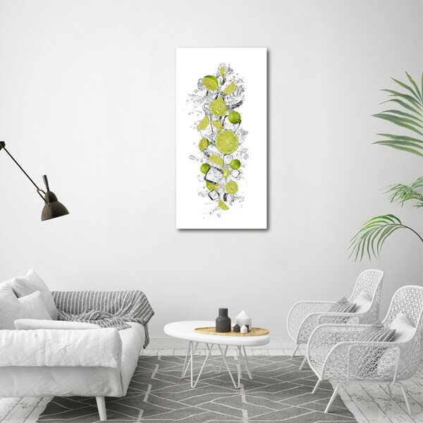 Vertikální Moderní obraz canvas na rámu Limetky ocv-117934420