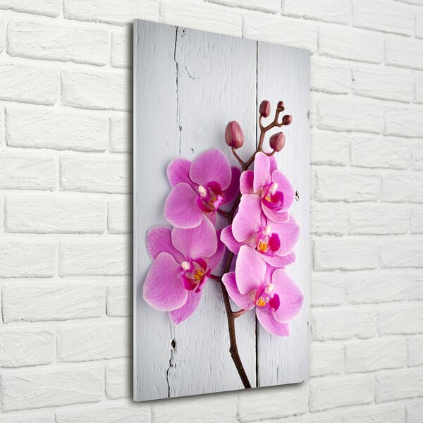 Vertikální Fotoobraz na skle Růžová orchidej osv-118409675