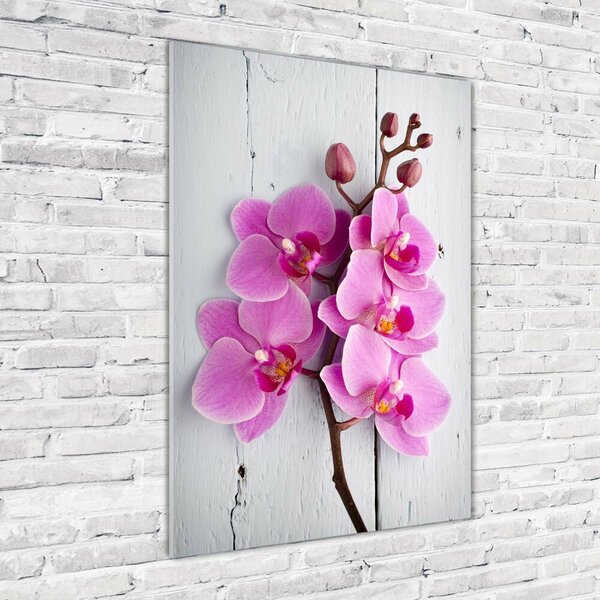 Vertikální Fotoobraz na skle Růžová orchidej osv-118409675