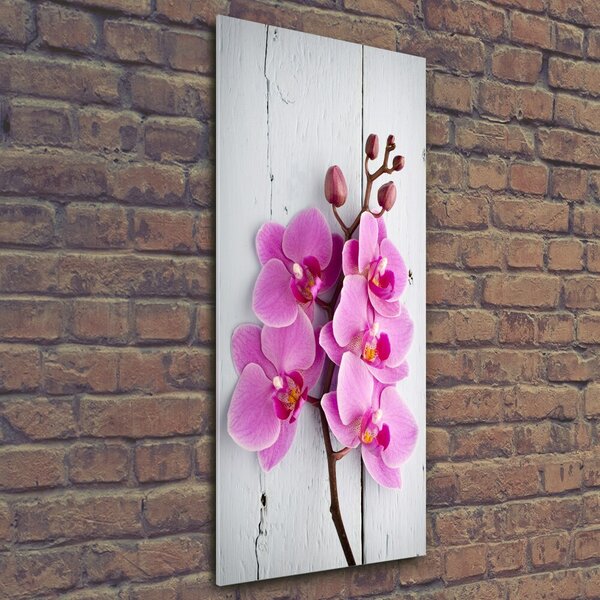 Vertikální Fotoobraz na skle Růžová orchidej osv-118409675