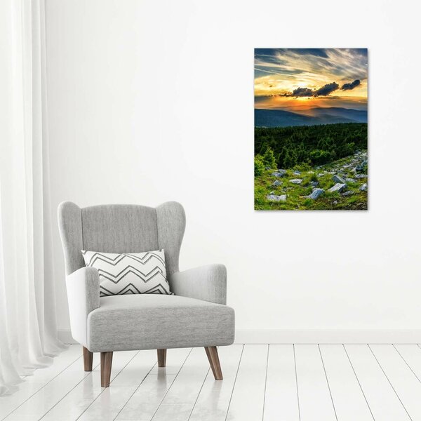 Vertikální Foto obraz canvas Panorama hor ocv-118999415