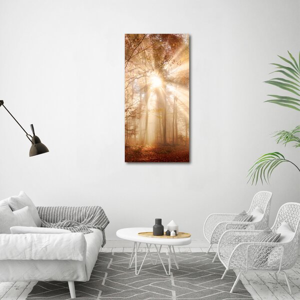 Vertikální Foto obraz canvas Les na podzim ocv-119225469