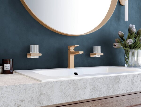 Hansgrohe AddStoris Q - Nádobka na ústní hygienu, kartáčovaný bronz 41749140