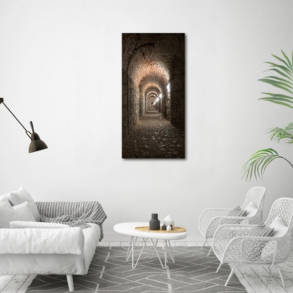 Vertikální Moderní obraz canvas na rámu Sklepy ocv-1199556