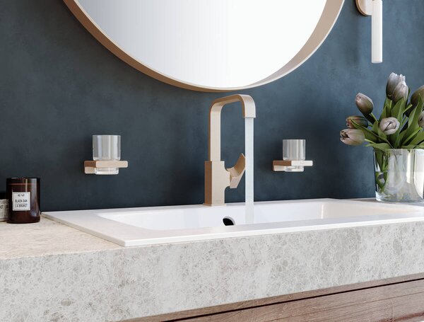 Hansgrohe AddStoris Q - Nádobka na ústní hygienu, kartáčovaný bronz 41749140