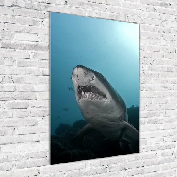 Vertikální Foto obraz sklo tvrzené Velký žralok osv-120086004