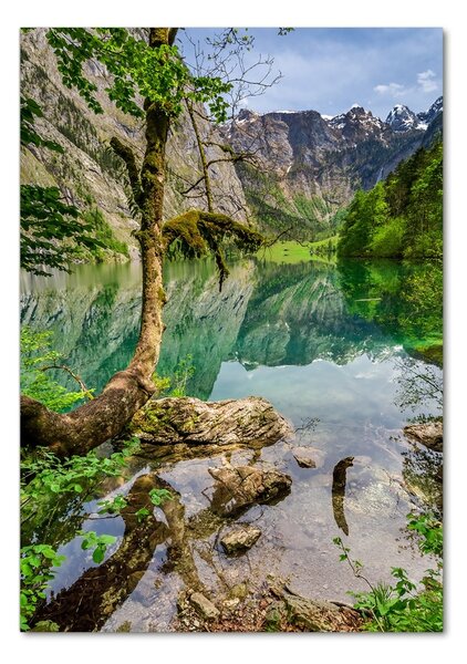 Vertikální Foto obraz skleněný svislý Jezero v horách osv-120186723