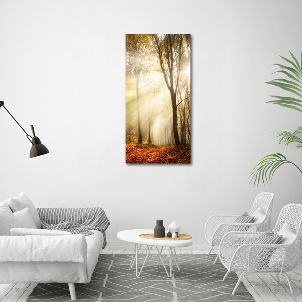 Vertikální Foto obraz canvas Les na podzim ocv-120624836