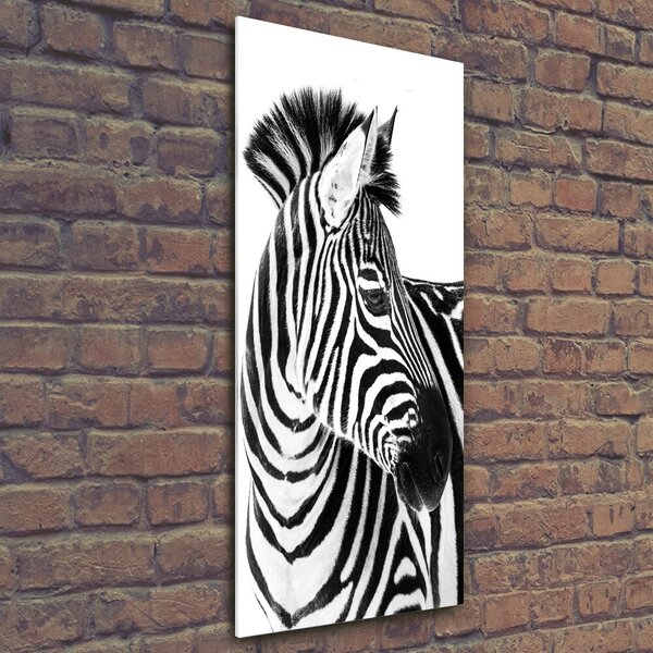 Vertikální Foto obraz fotografie na skle Zebra na sněhu osv-121577688