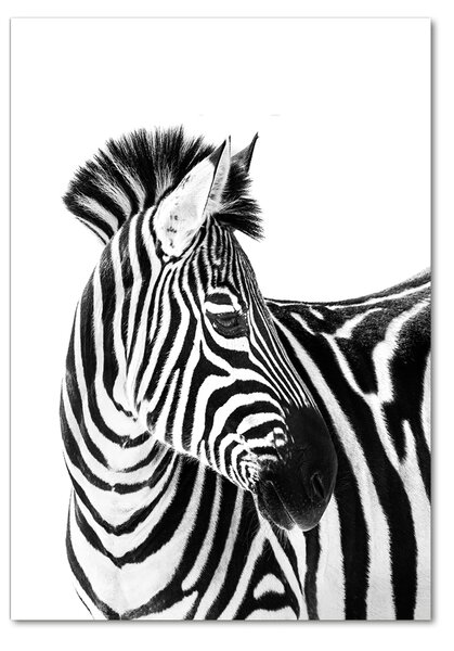 Vertikální Foto obraz fotografie na skle Zebra na sněhu osv-121577688