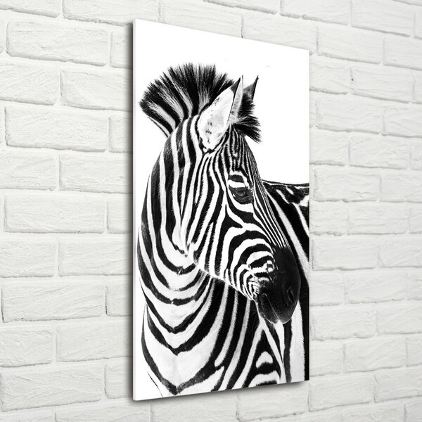 Vertikální Foto obraz fotografie na skle Zebra na sněhu osv-121577688