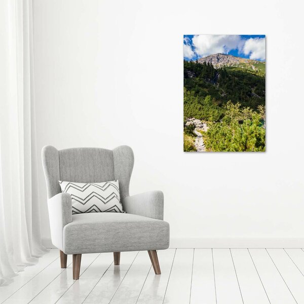 Vertikální Foto obraz na plátně Mořské oko Tatry ocv-121923797