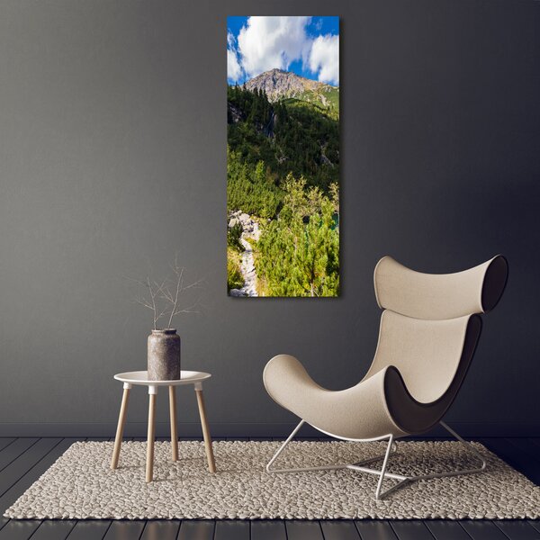 Vertikální Foto obraz na plátně Mořské oko Tatry ocv-121923797