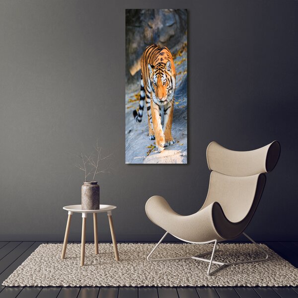 Vertikální Moderní fotoobraz canvas na rámu Tygr ocv-122340685