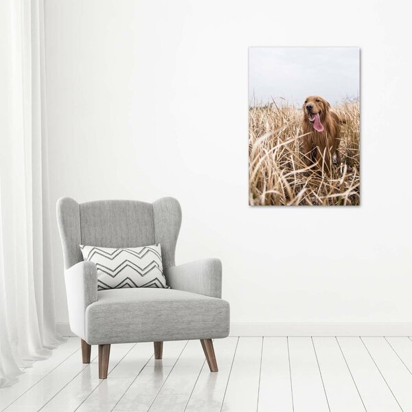 Vertikální Foto obraz na plátně Golden retriever ocv-122552617