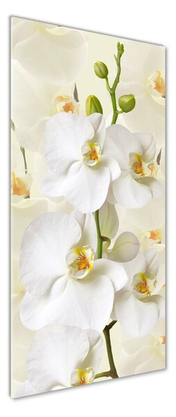 Vertikální Foto obraz fotografie na skle Bílá orchidej osv-123330197