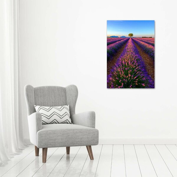 Vertikální Foto obraz canvas Pole levandule ocv-125992603