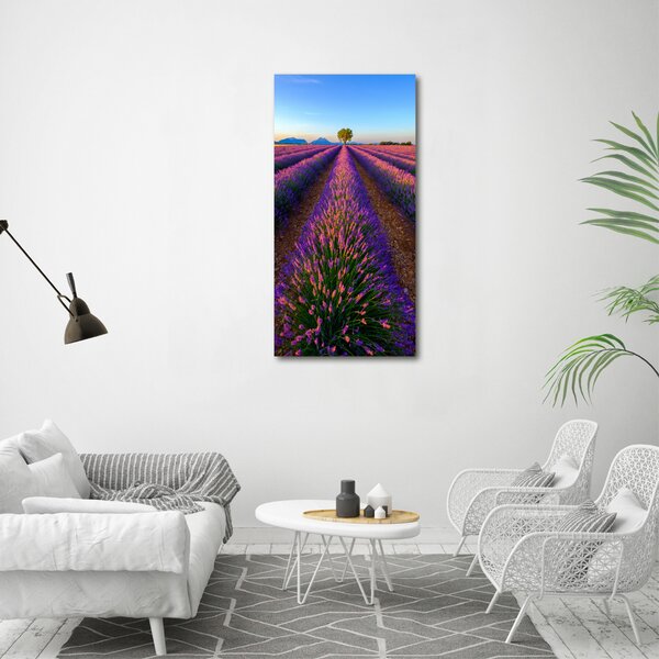 Vertikální Foto obraz canvas Pole levandule ocv-125992603