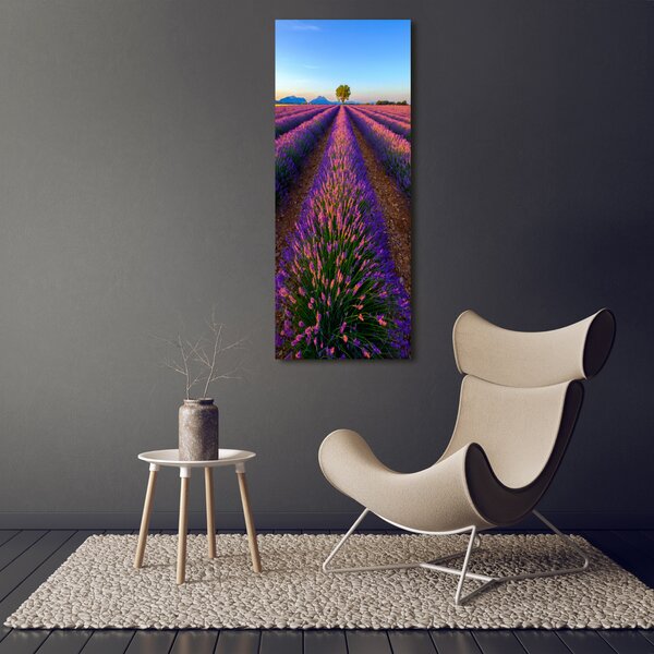 Vertikální Foto obraz canvas Pole levandule ocv-125992603