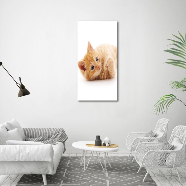 Vertikální Foto obraz canvas Malá červená kočka ocv-126034635