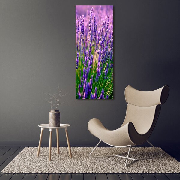 Vertikální Foto obraz canvas Pole levandule ocv-125992739