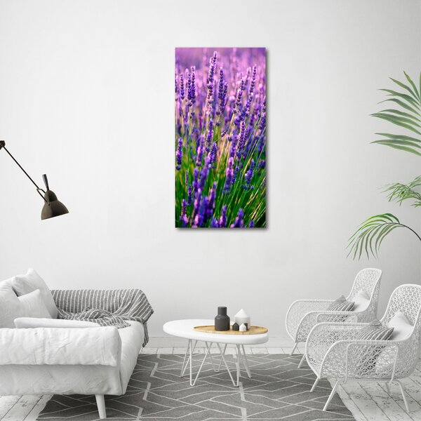 Vertikální Foto obraz canvas Pole levandule ocv-125992739