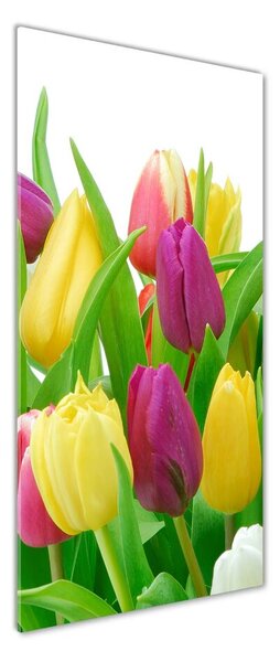 Vertikální Fotoobraz na skle Barevné tulipány osv-12652067