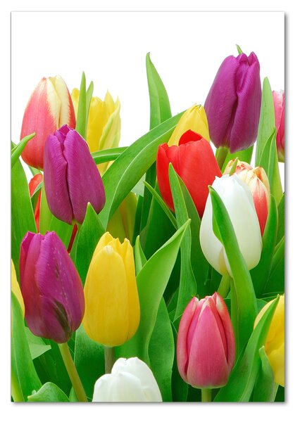 Vertikální Fotoobraz na skle Barevné tulipány osv-12652067