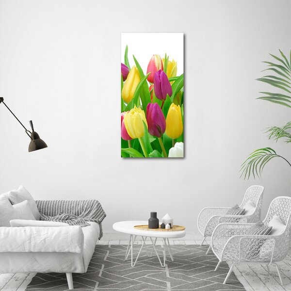 Vertikální Foto obraz na plátně Barevné tulipány ocv-12652067
