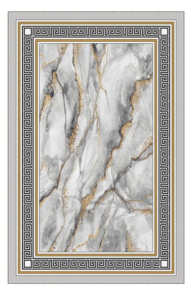 ASIR Koberec (180 x 280) HMNT765 šedo zlatý