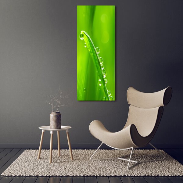 Vertikální Foto obraz canvas Stéblo trávy ocv-132303830